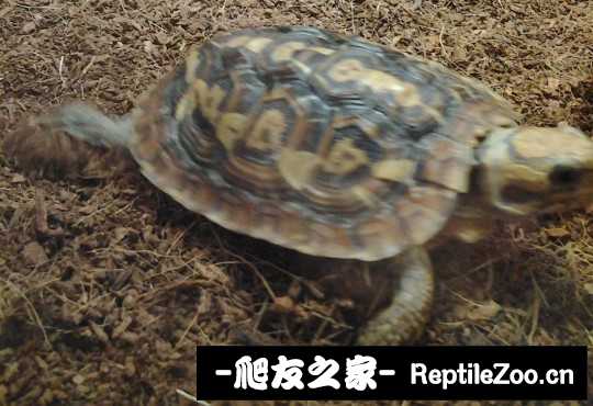 001003p5zsp9hd7us995l9.jpg
