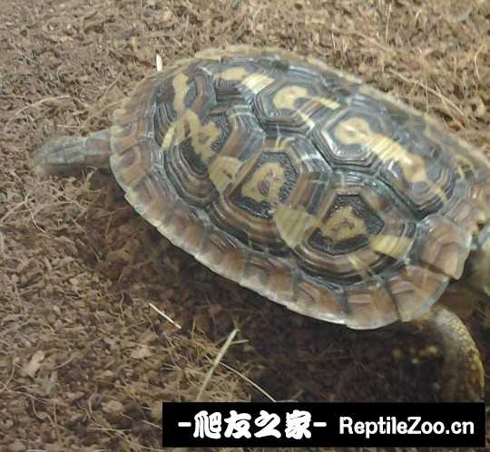 001005nqtkju9o2cq6kjr6.jpg