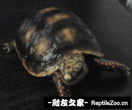 001013ofifhdnfnc33oith.jpg