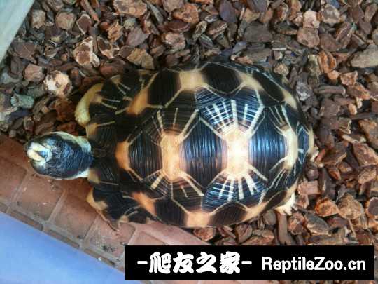 001053be2kggd9lkeglzu8.jpg
