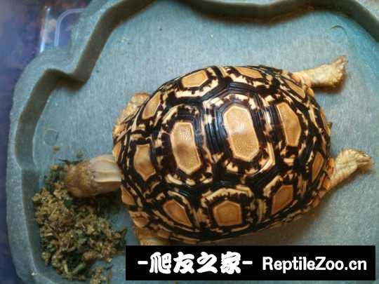 001055kk5uqfo5wfsyxyk9.jpg