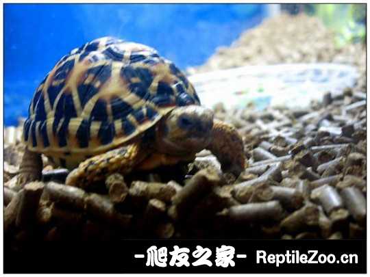 001232ucafnznmc6cf0rsm.jpg