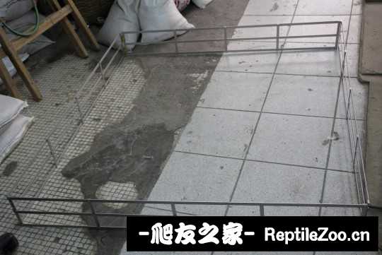 001253ri3hdebzs4cux7bx.jpg
