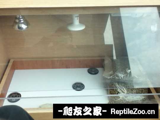 001306mzazhoqxohfaxgxc.jpg