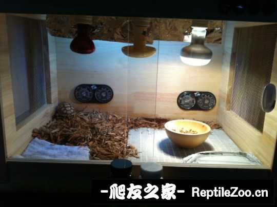 001559os3kmgj6cfc6mhi3.jpg