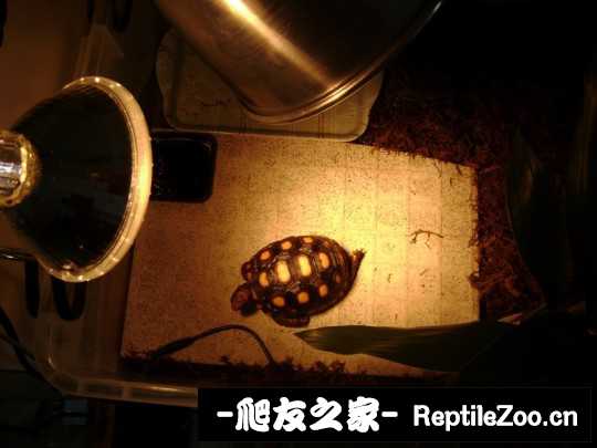 002243rjwopb51lohwqk1i.jpg