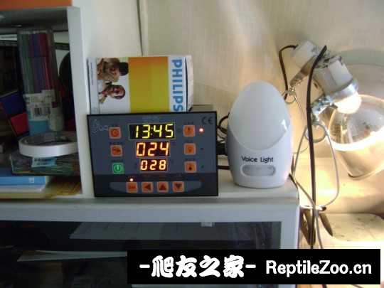 002245yq6ktqr11ohxbruq.jpg