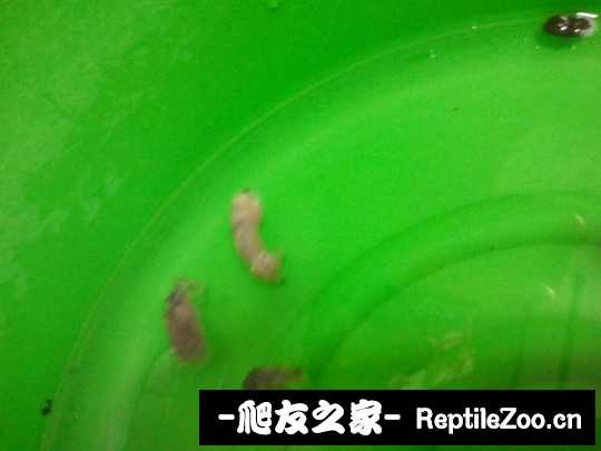 004148xobb4kf2b64z6hkq.jpg