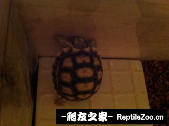 004314yx472zpd0qxp0m24.jpg
