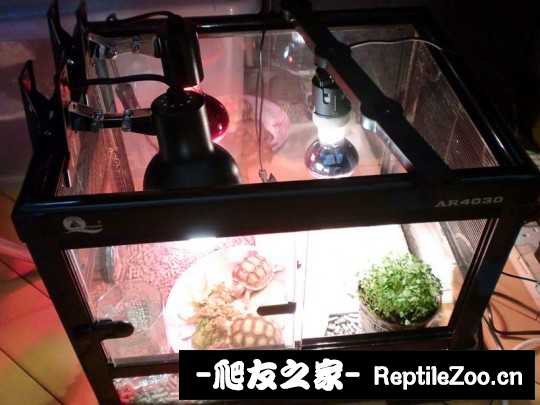 005028cpvf2fzyueei5ey7.jpg