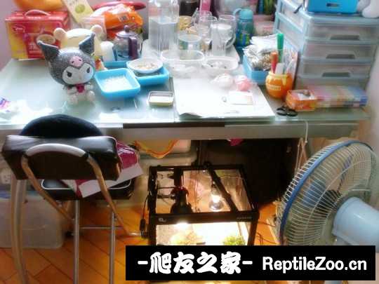 005030autu2c8vif88p5ri.jpg