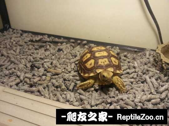 010018qmoxo256wbo2rwo9.jpg