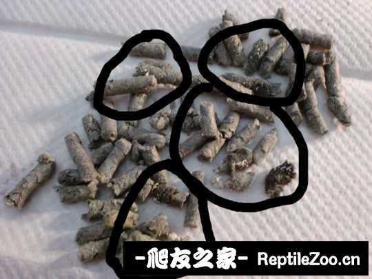 011700xiz3sjnbnj8q38sx.jpg