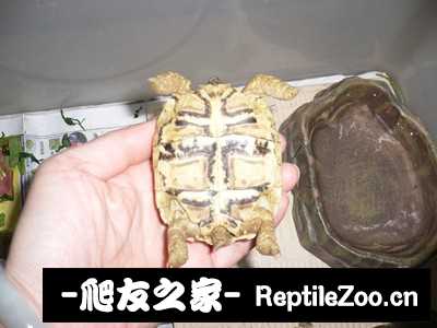 012057mju5htuxpbujubw2.jpg