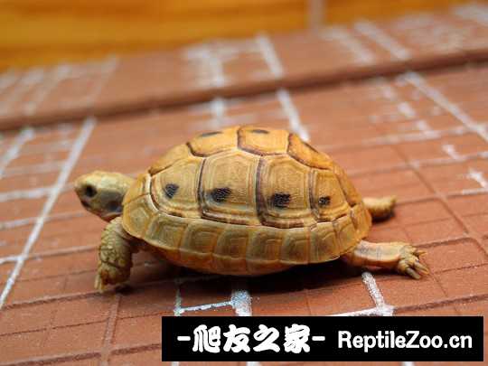 012115okj4daq2d6dyd82q.jpg