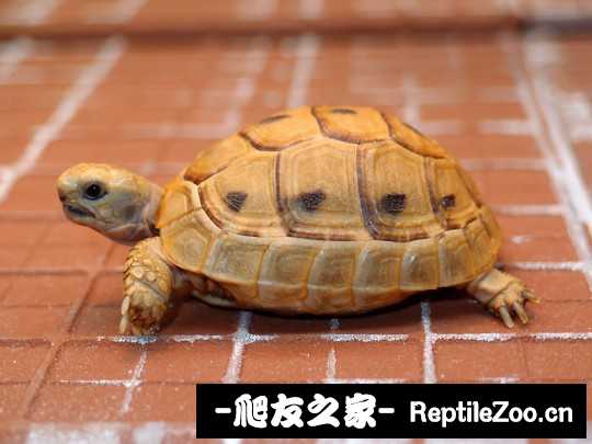 012115xhhs1w2whbxpwp4p.jpg