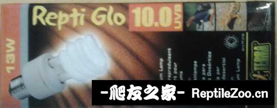 012154yjkhji4ro5fkrccx.jpg