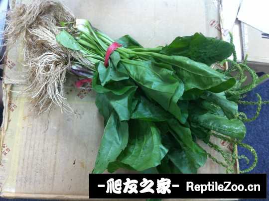 012307lm2up3u4ppc2cc4i.jpg