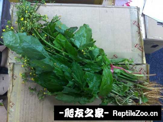 012308msrk7cgyzsi3k0i5.jpg