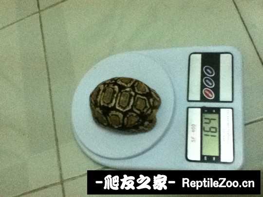012335cgaag2qg88rz889f.jpg