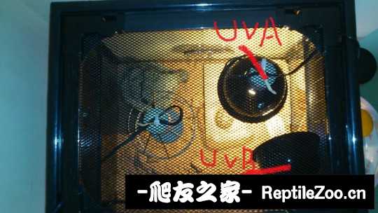 012348jrvr2q38v88q5rqq.jpg