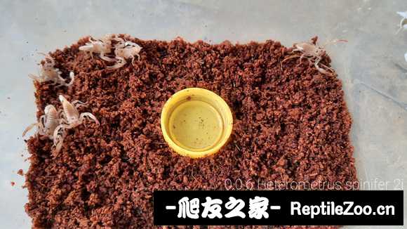 display_picture.php?url=http%3A%2F%2Ftiebapic.baidu.com%2Fforum%2Fw%253D580%2Fsign%3Dfc0ca3ba4cb5c9ea62f303ebe538b622%2F03ba3a7adab44aede6e42b55a41c8701a08bfb78.jpg