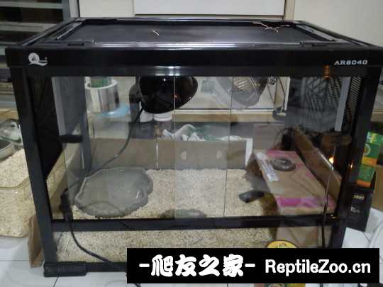 021608w7awz22u8a88vdiu.jpg