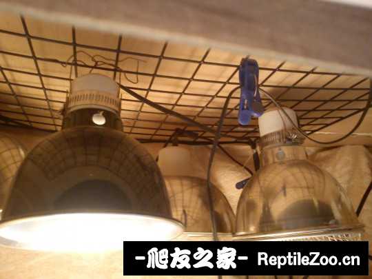 021609asl0es9hcld9q3sc.jpg