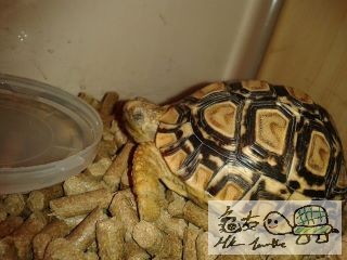 021739u55mm397edkl6c3c.jpg