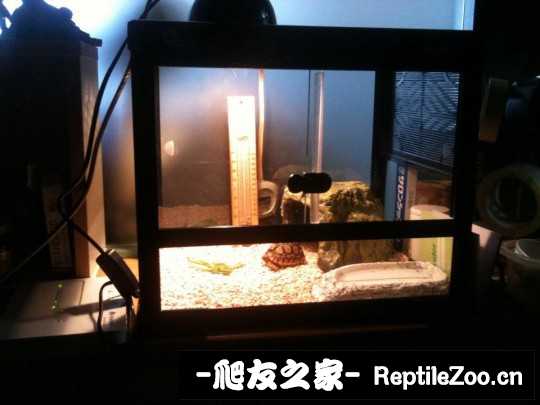 021837t0hixtlhmokt417r.jpg