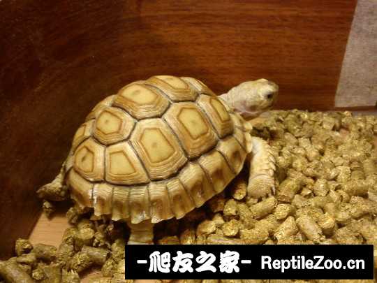 023345rmfjbhri1crhhrrj.jpg