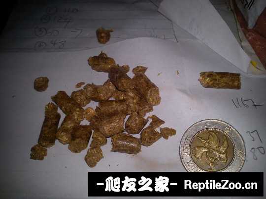 023346bllzgismzgu1ooii.jpg