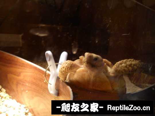 041257h45pj5annp8fudwp.jpg