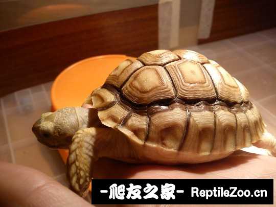 041257mu477nyoox4gud2c.jpg