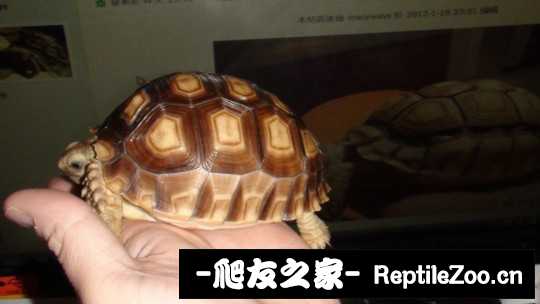 041258z9l9eplgcgiejilg.jpg