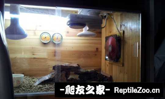 041302ghzgse0hhtx2s08s.jpg