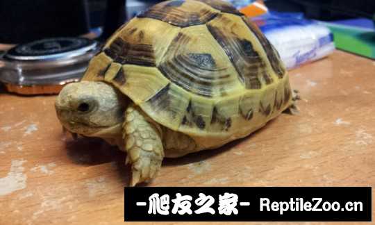 041303vmkttutkg8fh8mf4.jpg