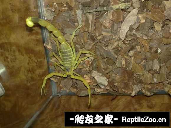display_picture.php?url=http%3A%2F%2Fimgsa.baidu.com%2Fforum%2Fw%253D580%2Fsign%3D52551248a60f4bfb8cd09e5c334e788f%2F1920dd58ccbf6c81505d513fbe3eb13532fa4025.jpg