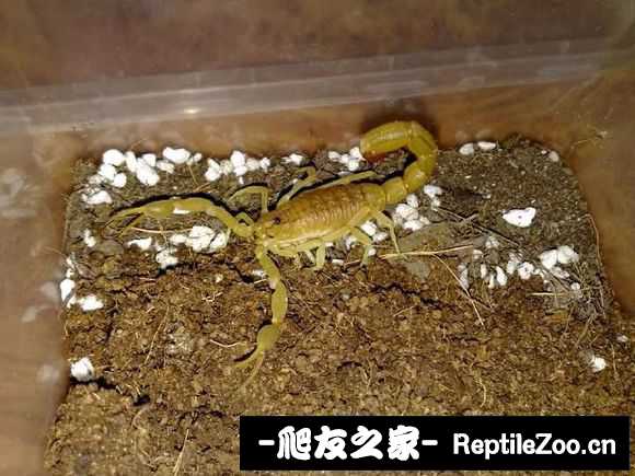 display_picture.php?url=http%3A%2F%2Fimgsa.baidu.com%2Fforum%2Fw%253D580%2Fsign%3D628f830874094b36db921be593cd7c00%2F0fb16f2762d0f703c2ade80b0afa513d2797c568.jpg