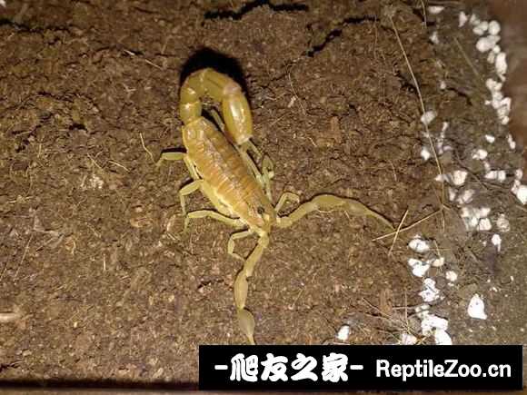 display_picture.php?url=http%3A%2F%2Fimgsa.baidu.com%2Fforum%2Fw%253D580%2Fsign%3D284f1d1cb0fb43161a1f7a7210a54642%2F28e9dd1373f082024f8dece849fbfbedaa641b6f.jpg