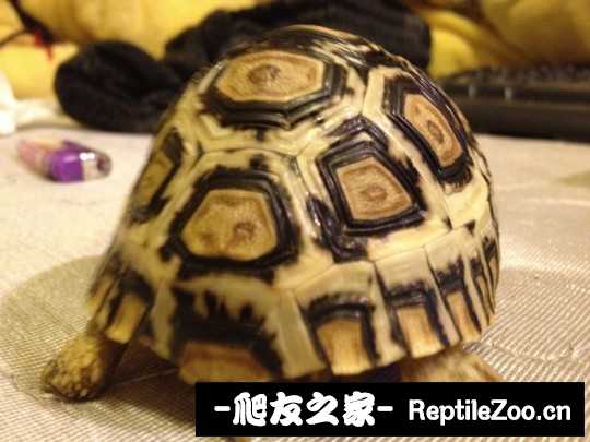 041622quimfjal35zkxrli.jpg
