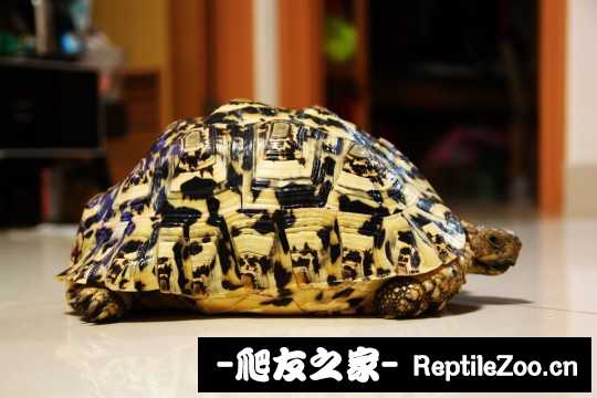 041623rhh1gm2lhtlhmqg0.jpg