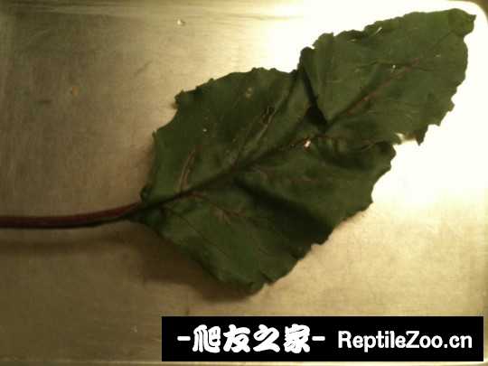 041641w68xhglzhj68zqyk.jpg
