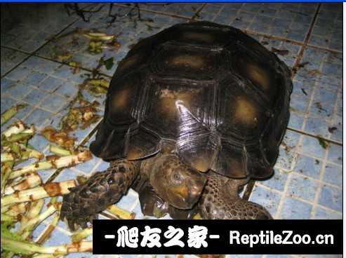 041734let07gf6diift536.jpg