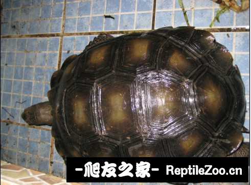 041735hi53rw39daum7hee.jpg