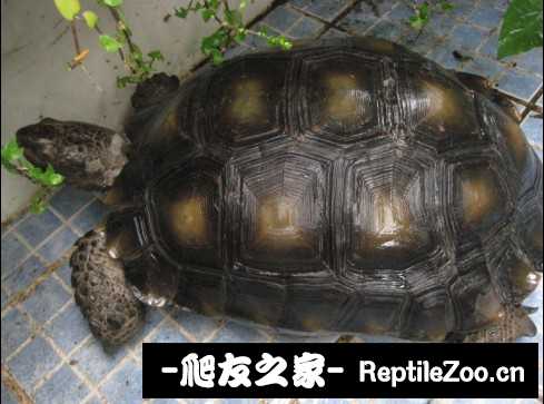 041735u86wg1w1x1z91u61.jpg