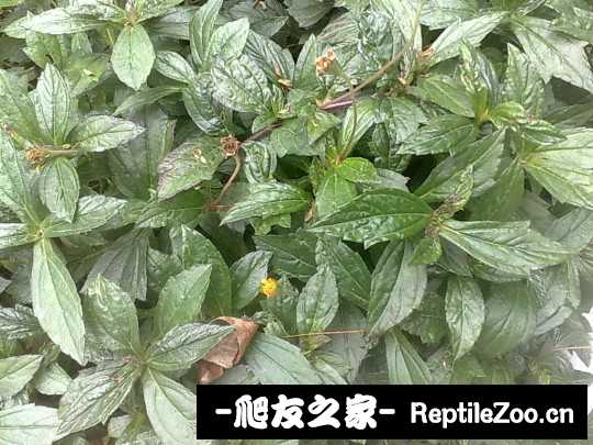 041933c2u6udufcts8isdi.jpg