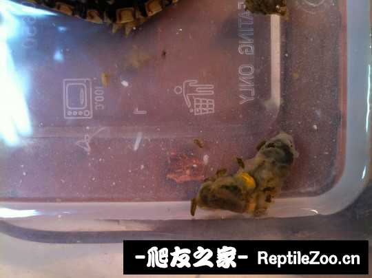 041957g636k65znrrri5dr.jpg