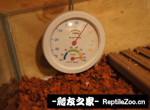 042031gwvx1xeuy11aaw1u.jpg