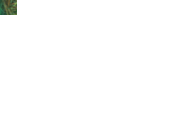 042149fe1wd5d5deodok7d.gif